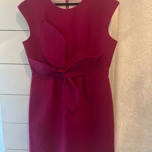 Ted Baker London Feont Tie dress